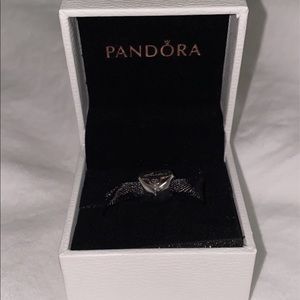 New Pandora “Sister” Charm